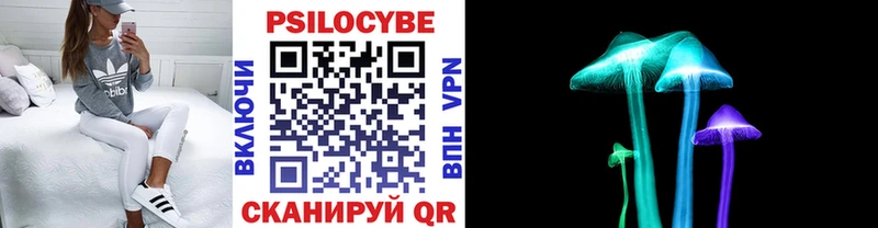 Псилоцибиновые грибы мухоморы  Купить закладки  Саяногорск 